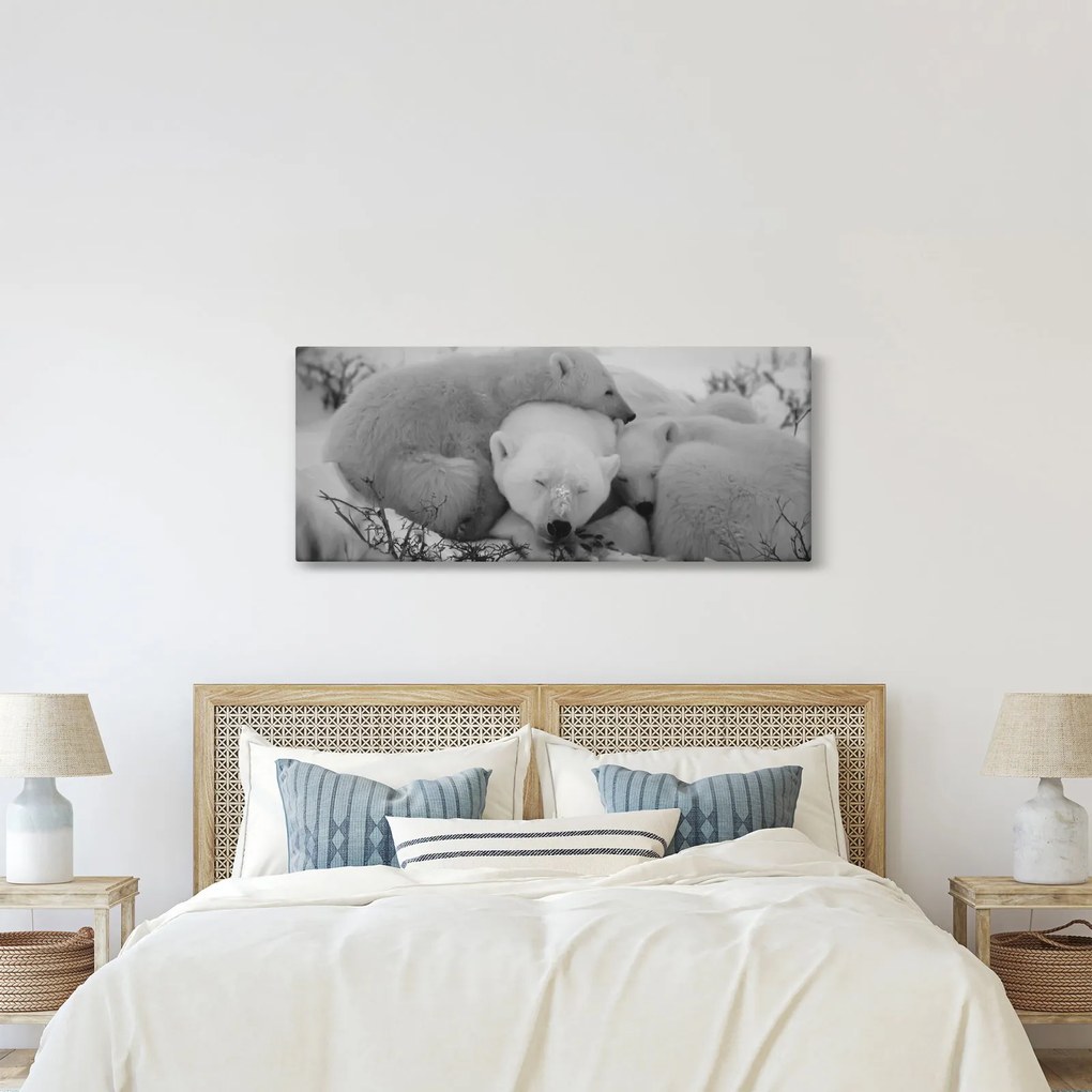 Obraz - Ľadové medvedíky, čiernobiela (120x50 cm)