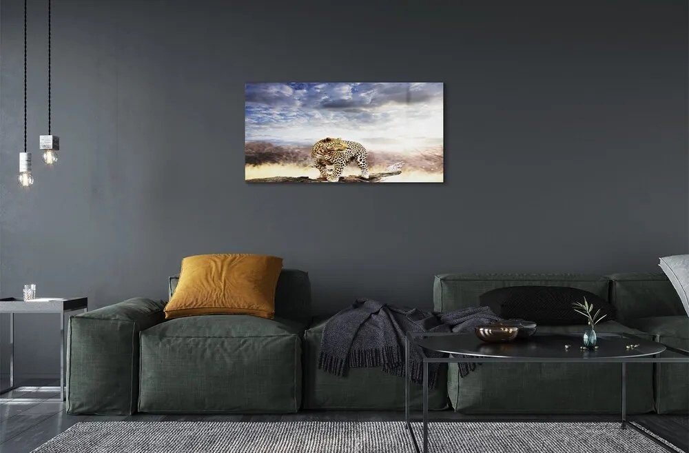 Obraz na skle panter mraky 100x50 cm