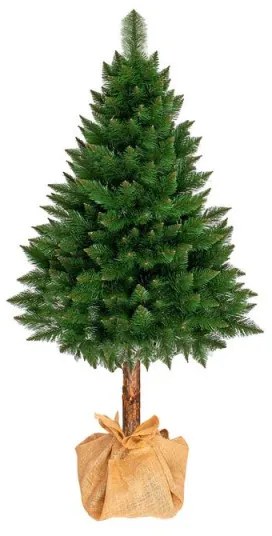 SPRINGOS Vianočný stromček Borovica himalájska na kmienku 160 cm