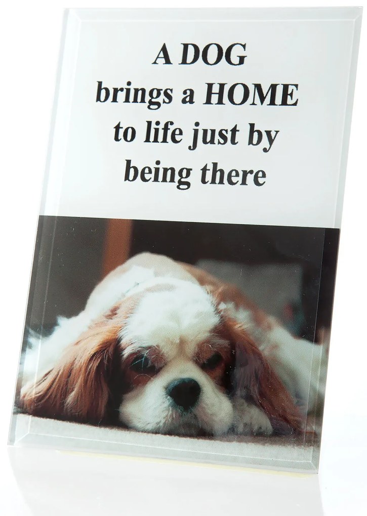 DEKORAČNÝ KERAMICKÝ RÁMIK 12X18 CM BIELA