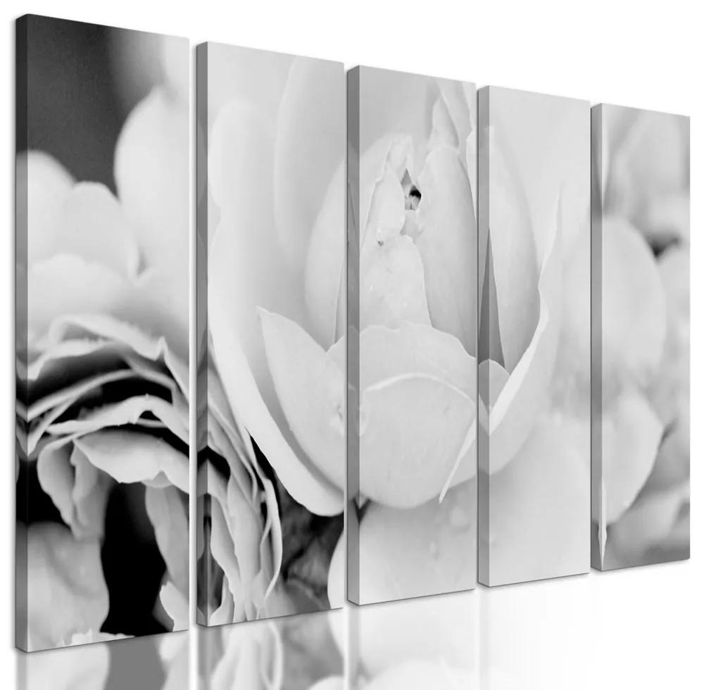 5-dielny obraz pôvabné ruže v čiernobielom prevedení