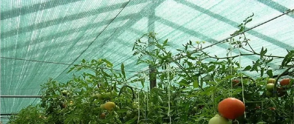Tieniaca sieťka s 90% zatienením 135g/m2 1,2m x 25m