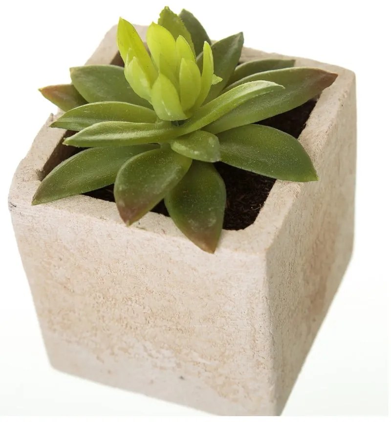 Umelé rastliny v súprave 6 ks (výška 9,5 cm) Cactus – Casa Selección