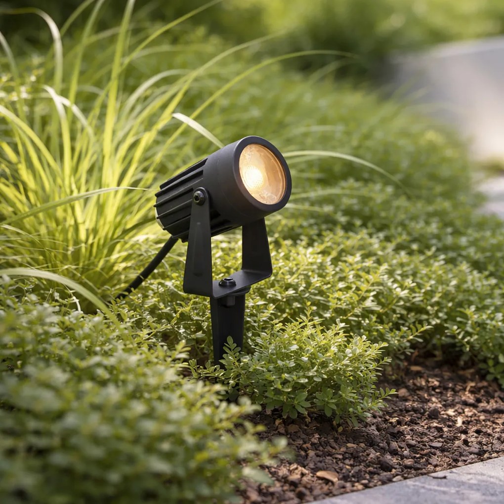 Moderný 12V reflektor čierny vrátane LED IP67 - Voltaire Pico