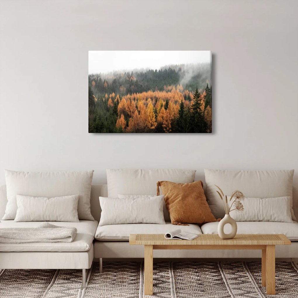 Obraz - Jesenný les (90x60 cm)
