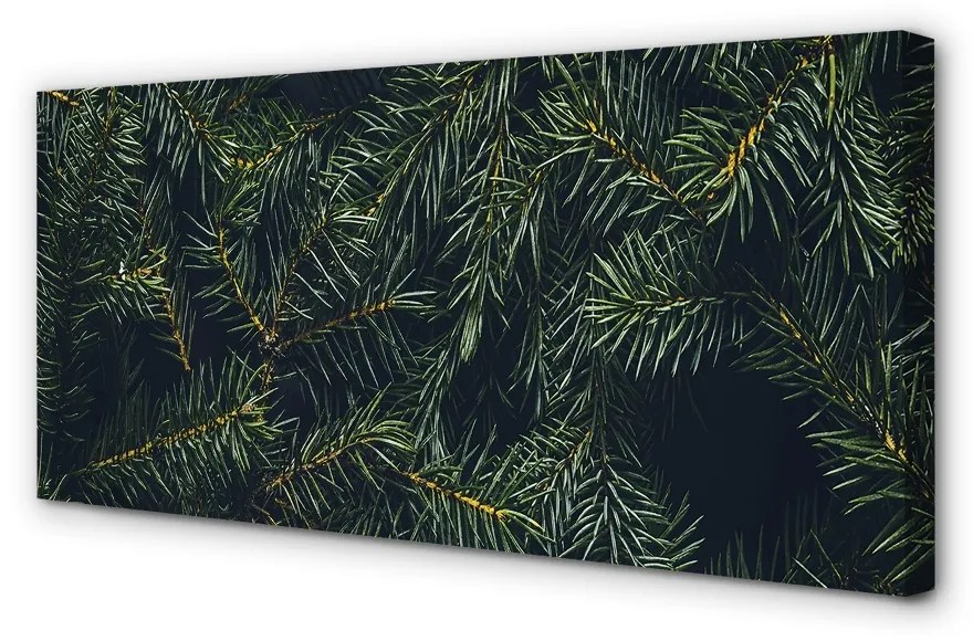 Obraz na plátne Vianočný strom vetvičky 140x70 cm