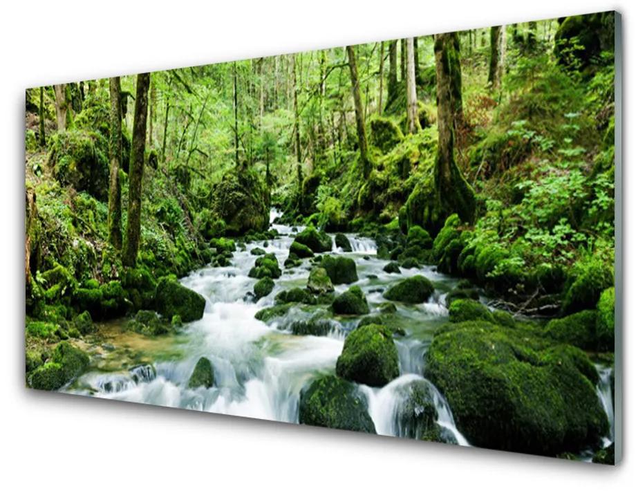 Obraz plexi Les potok vodopády rieka 100x50 cm