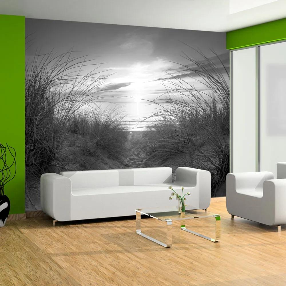 Artgeist Fototapeta - beach (black and white) Veľkosť: 150x105, Verzia: Premium