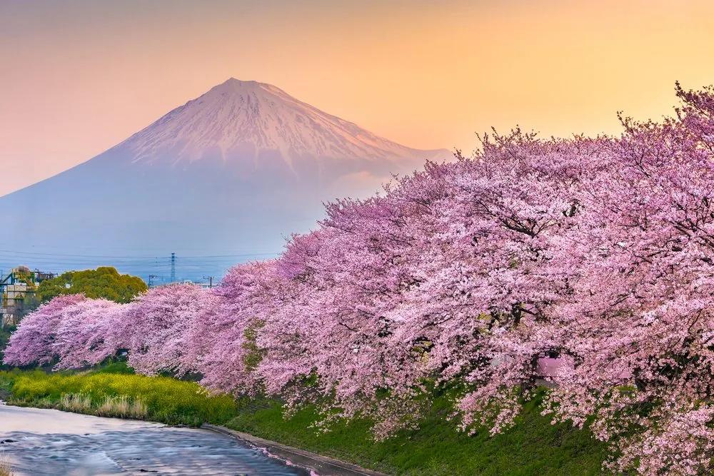 Obraz japonská sopka Fuji