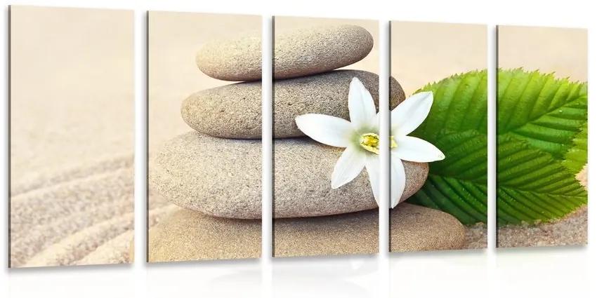 5-dielny obraz biely kvet a kamene v piesku - 200x100