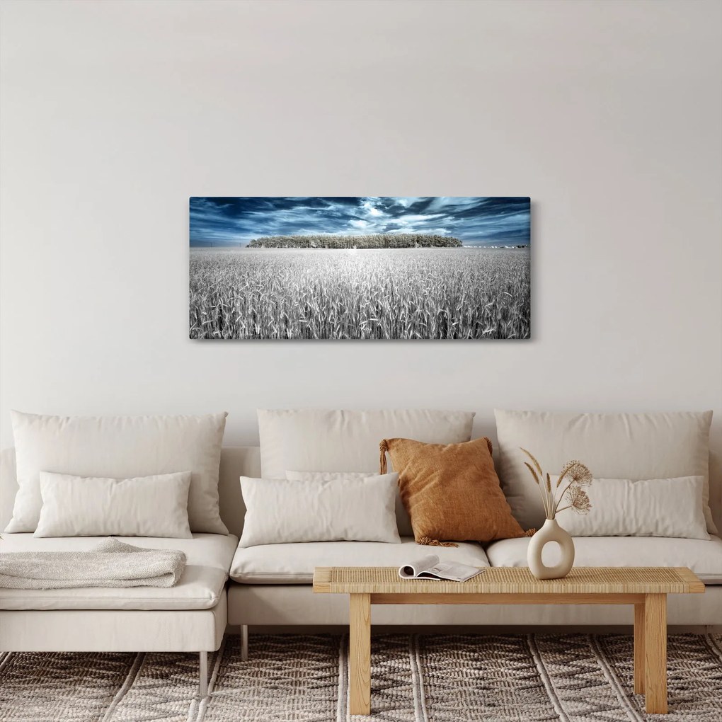 Obraz pole (120x50 cm)