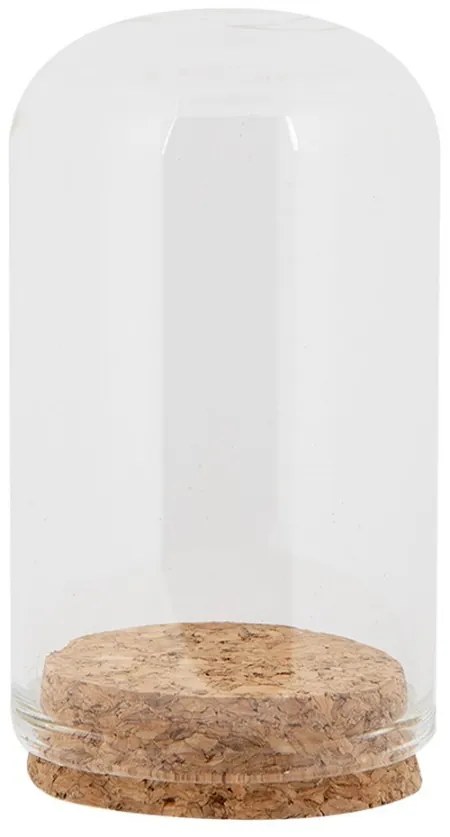 Glass Bell Jar ? 5x8 Cm Transparent Glass - ? 5*8 cm