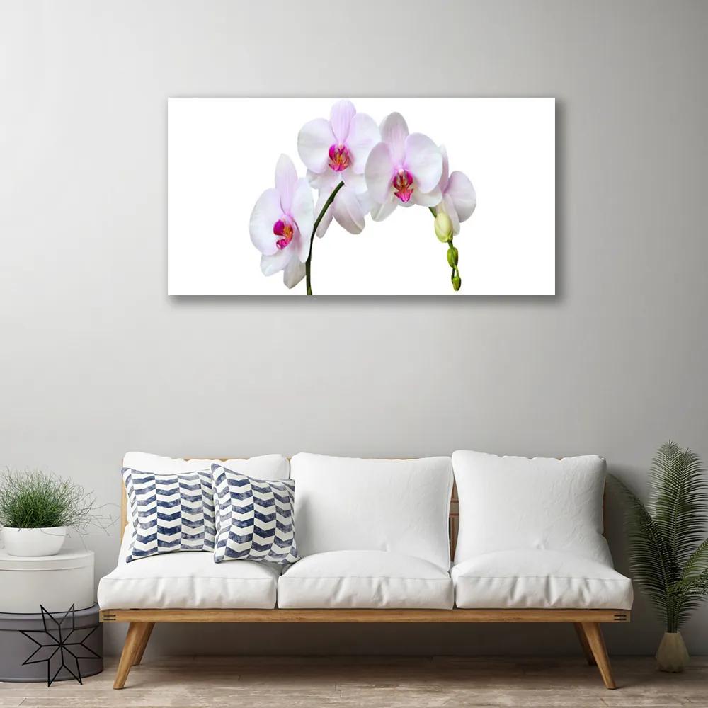 Obraz Canvas Vstavač orchidea kvety 125x50 cm