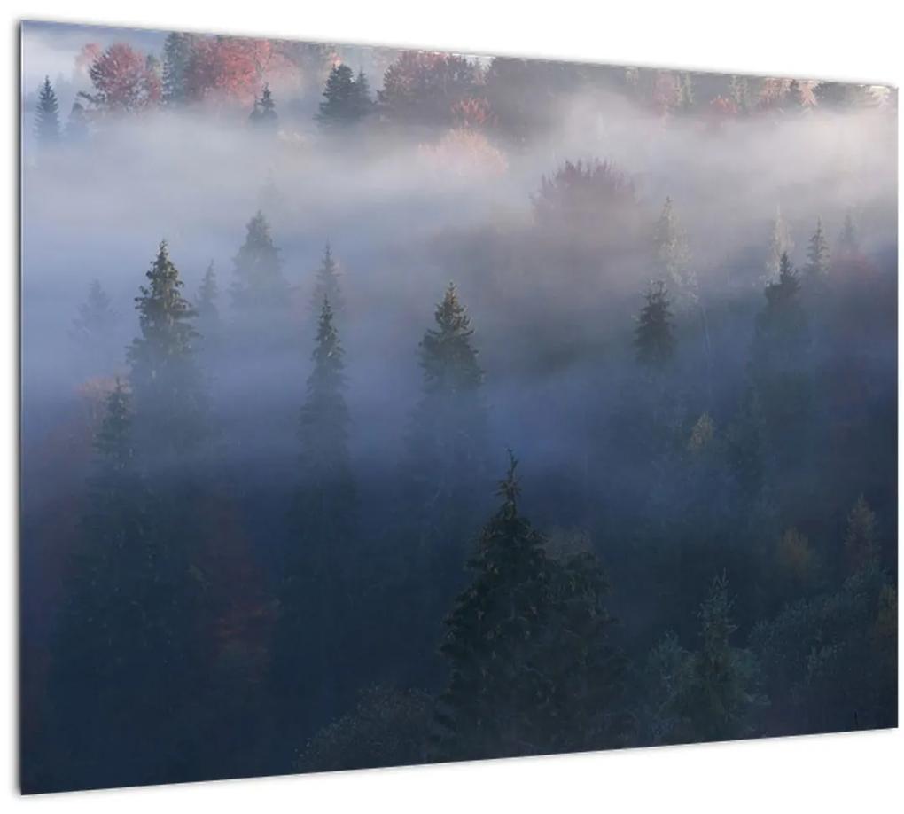 Sklenený obraz - Les v hmle, Karpaty, Ukrajina (70x50 cm)