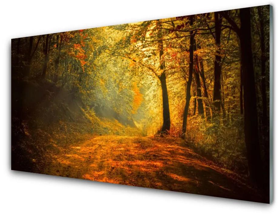 Obraz plexi Les cestička stromy príroda 125x50 cm