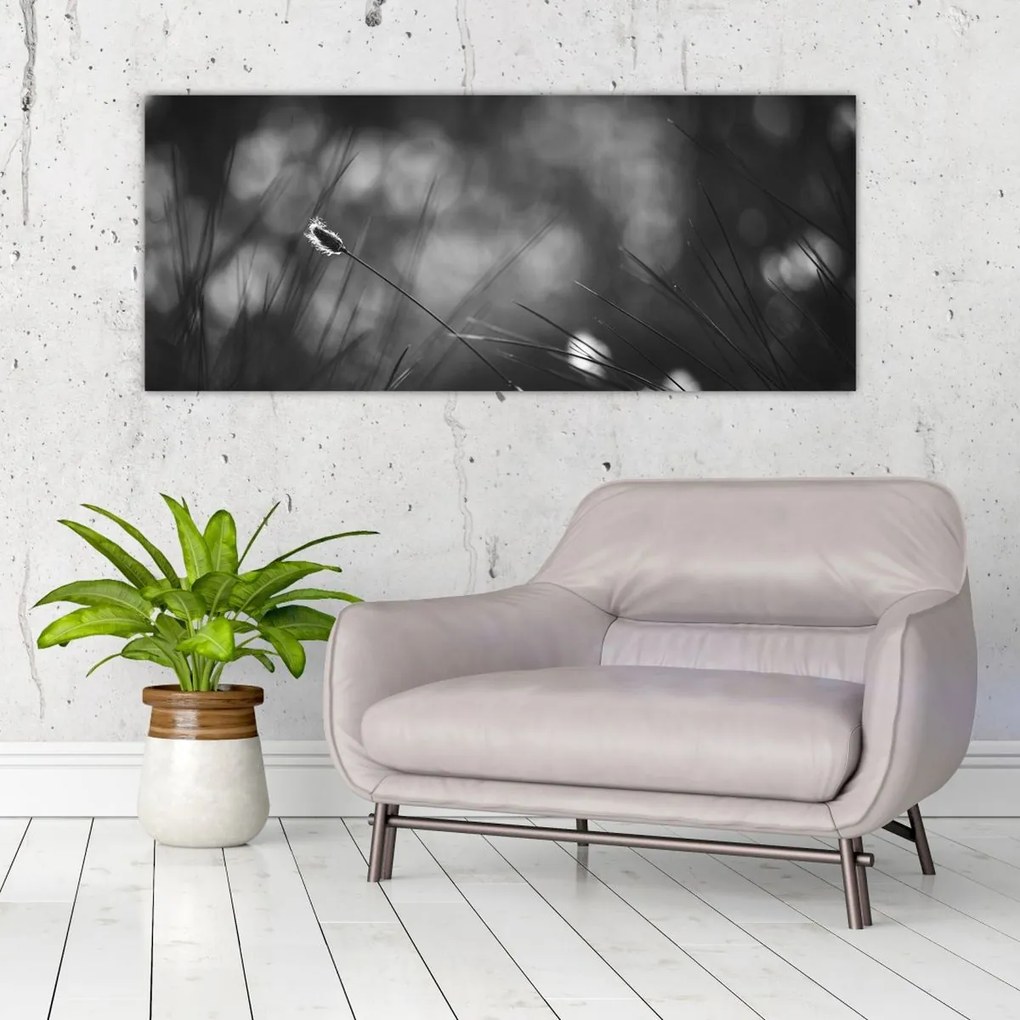 Obraz - Lúčna tráva (120x50 cm)