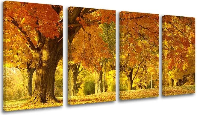 Obraz na stenu STROMY