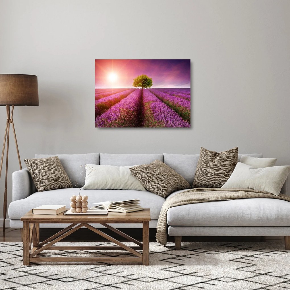 Sklenený obraz poľa s levanduľami (70x50 cm)