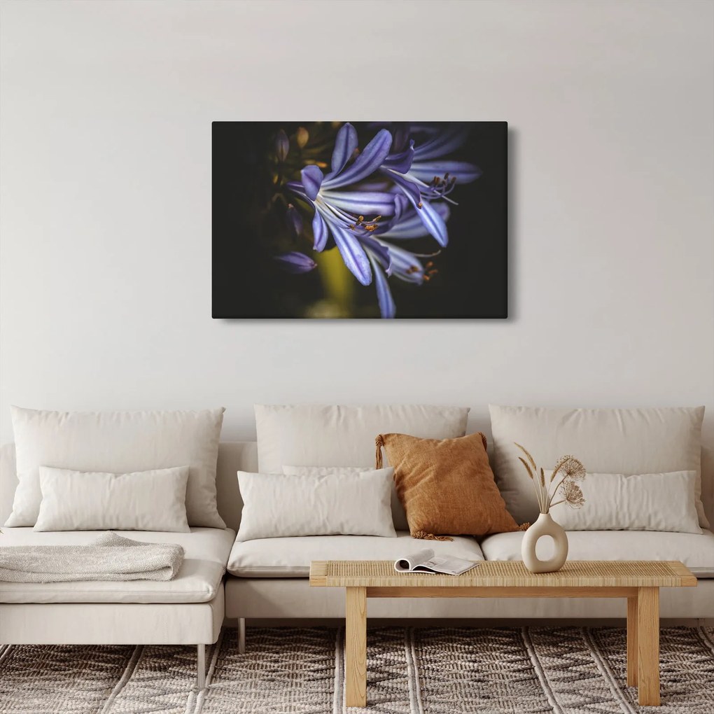 Obraz - Lila (90x60 cm)
