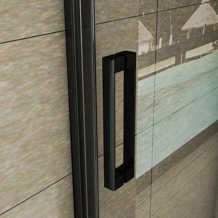 D‘Eluxe - SPRCHOVÉ DVERE - Sprchové dvere SINGLE D99D 0-100xcm sprchové dvere pivotové jednokrídlové číre 8 čierna univerzálna - ľavá/pravá 80 200 80x200 70