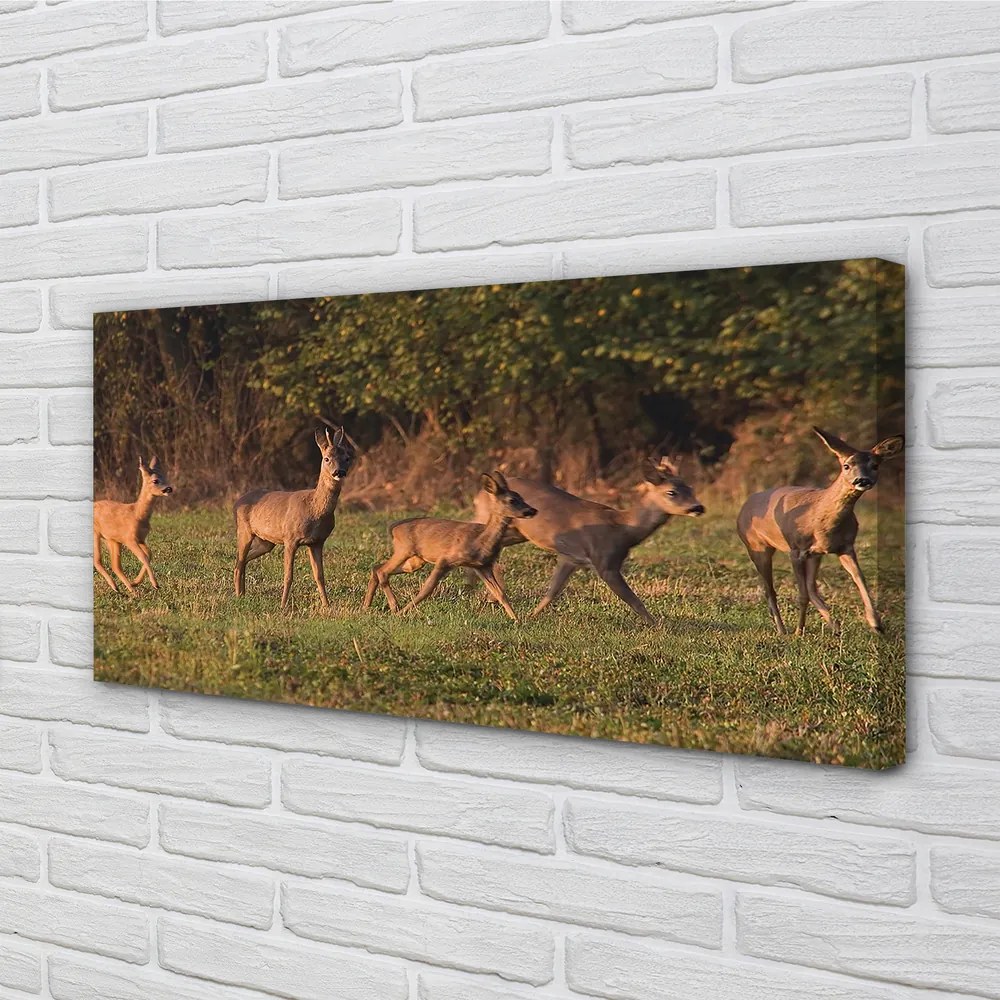 Obraz na plátne Deer Golf svitania 100x50 cm