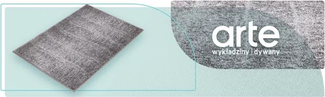 Koberec Agnella Avanti Tytus sivý