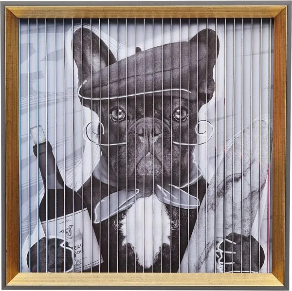 KARE DESIGN Obraz s rámom Art 3D French Dog 43 × 43 cm