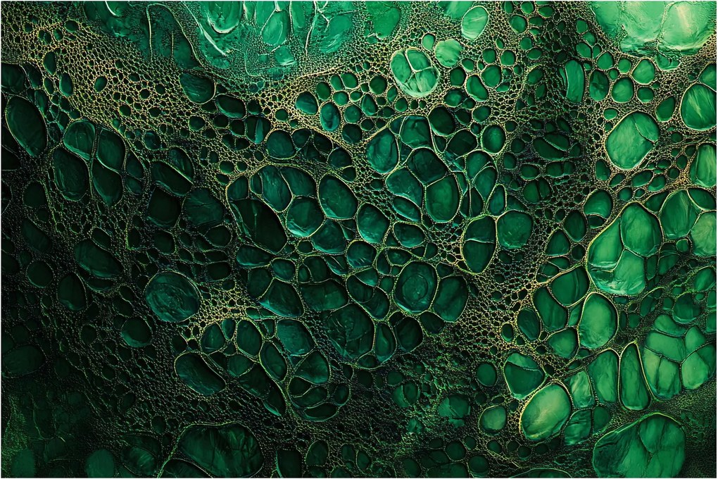 Obraz - Zelený mikroskopický záber (90x60 cm)