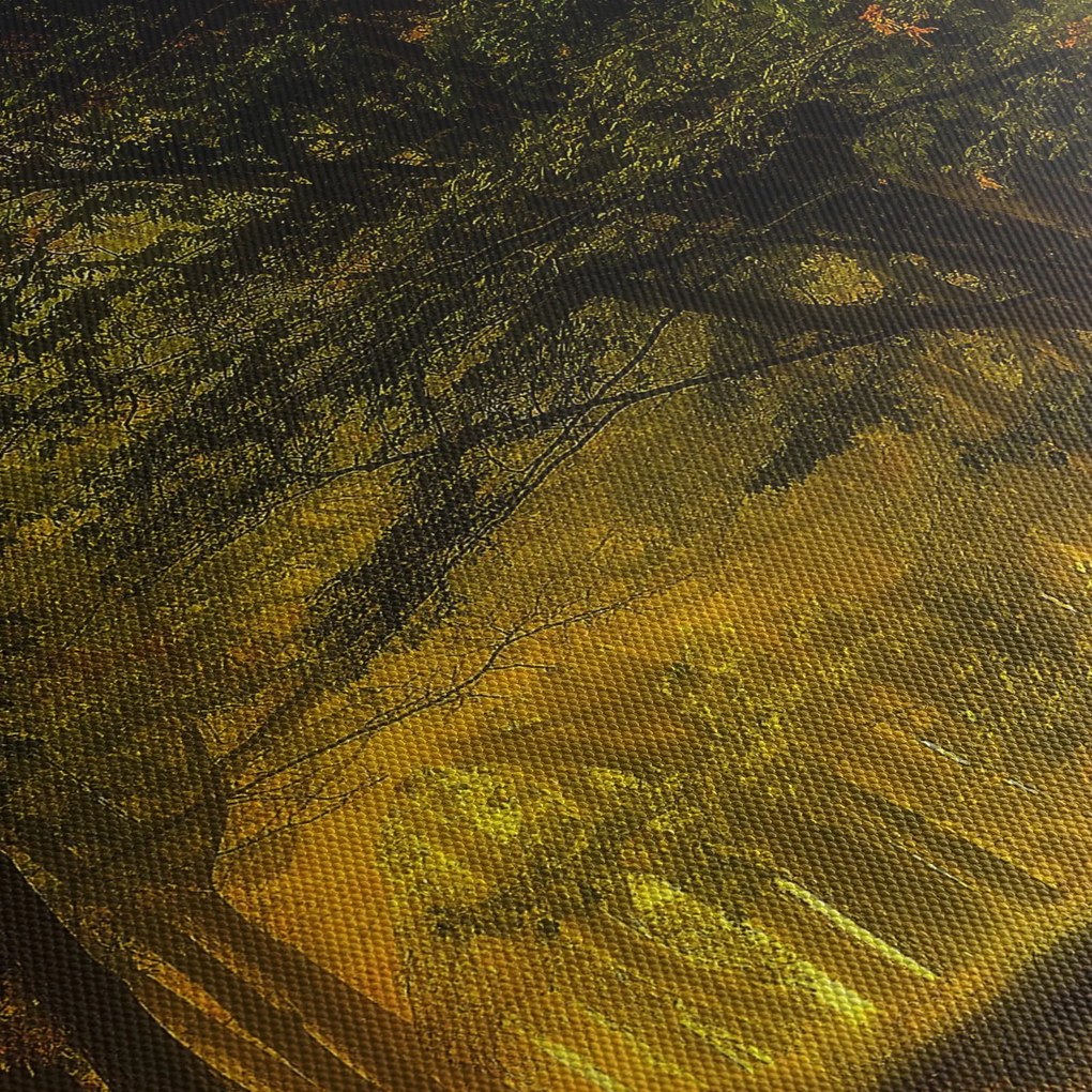 Obraz lesu (90x60 cm)