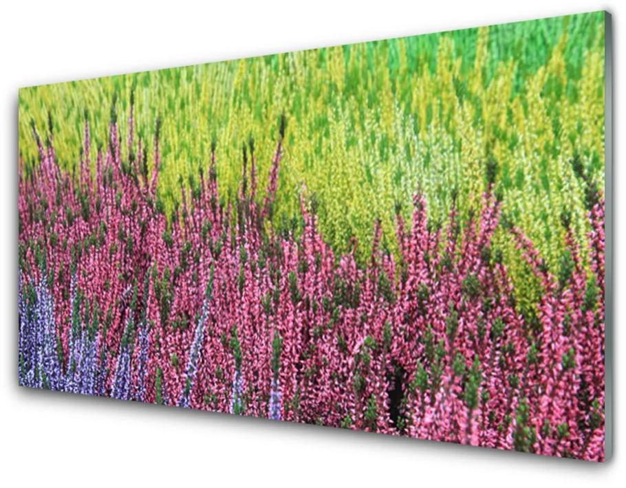 Nástenný panel  Kvet rastlina príroda 140x70cm