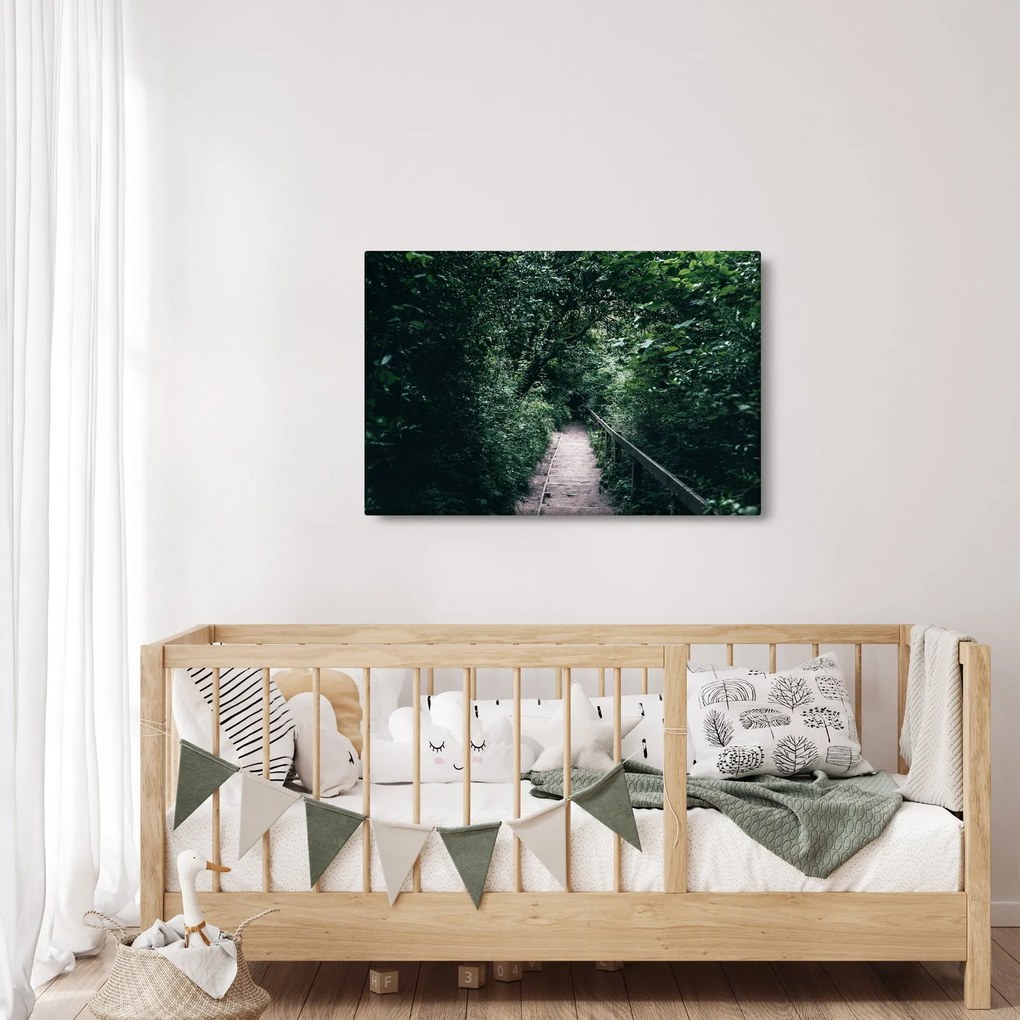 Obraz - Cesta lesom (90x60 cm)