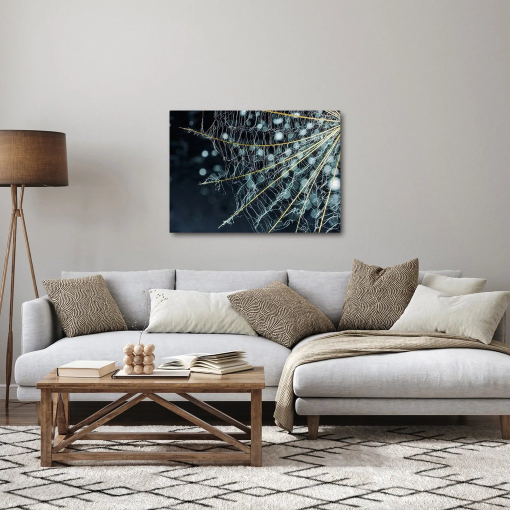 Obraz -Kvet s pavučinou (70x50 cm)