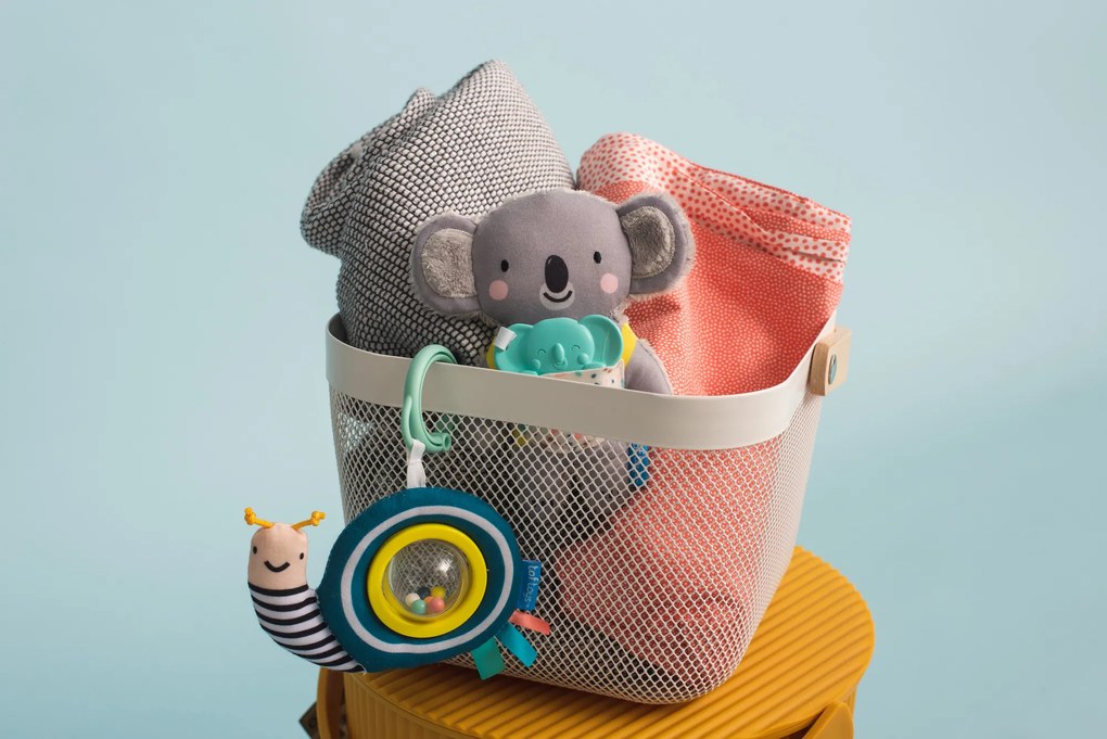 Koala Kimmi