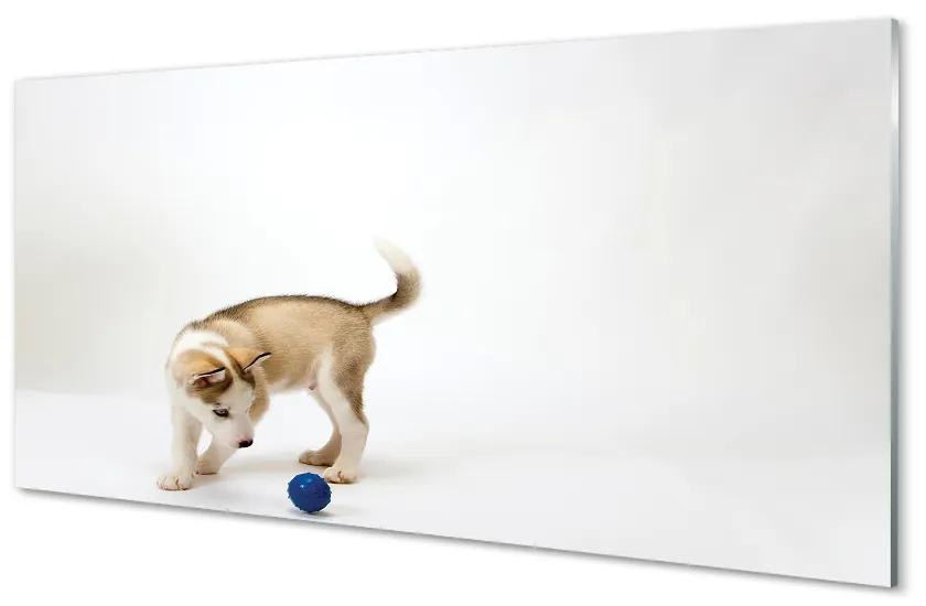 Sklenený obraz Hrať s tým psom 120x60 cm