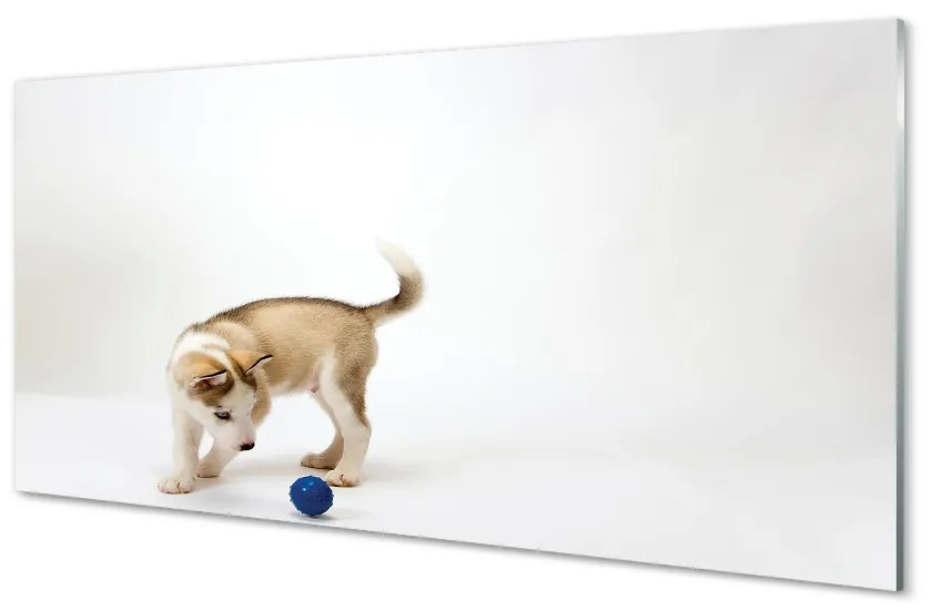 Sklenený obraz Hrať s tým psom 125x50 cm