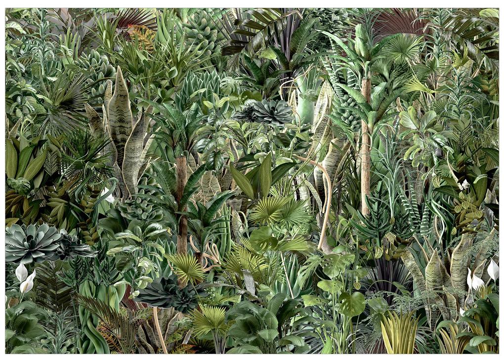 Artgeist Fototapeta - Richness of Jungle Veľkosť: 450x315, Verzia: Standard