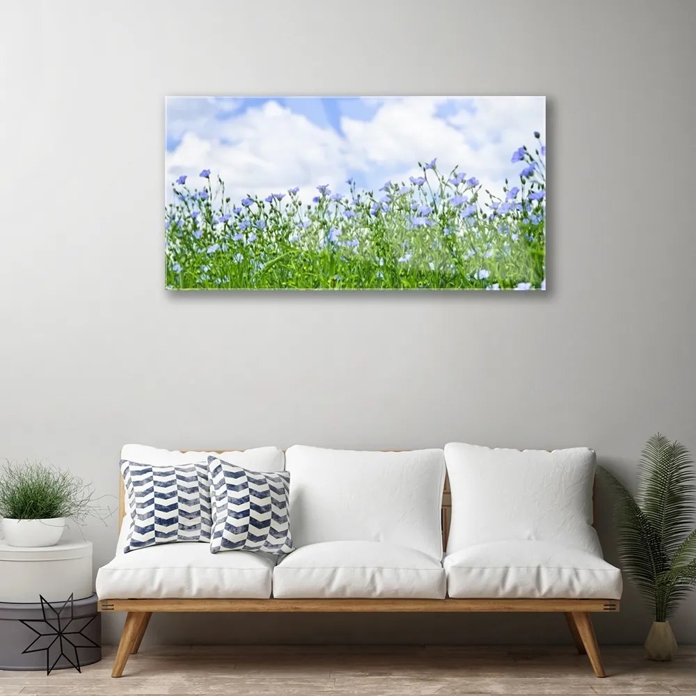 Obraz na akrylátovom skle Kvety rastlina príroda 100x50 cm