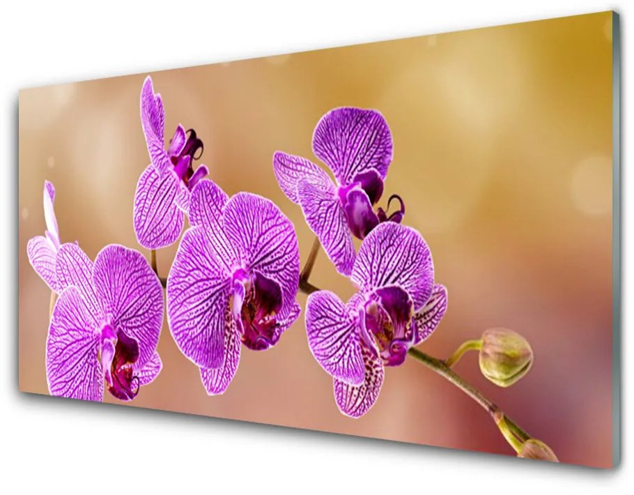 Obraz plexi Orchidea výhonky kvety príroda 125x50 cm