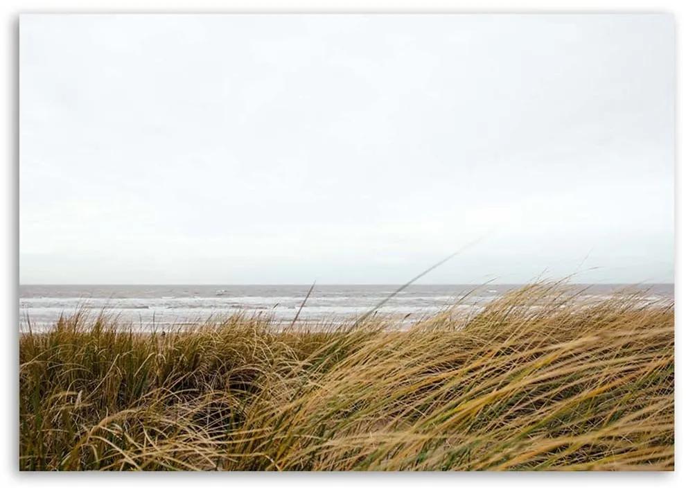 Obraz na plátně Plážová tráva Přírodní duna - 60x40 cm