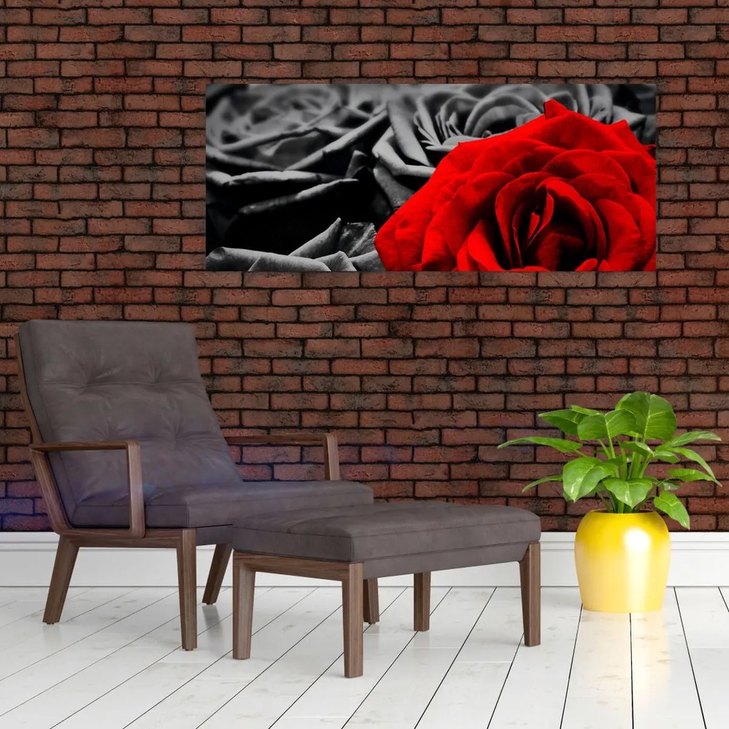 Obraz - Ruže (120x50 cm)