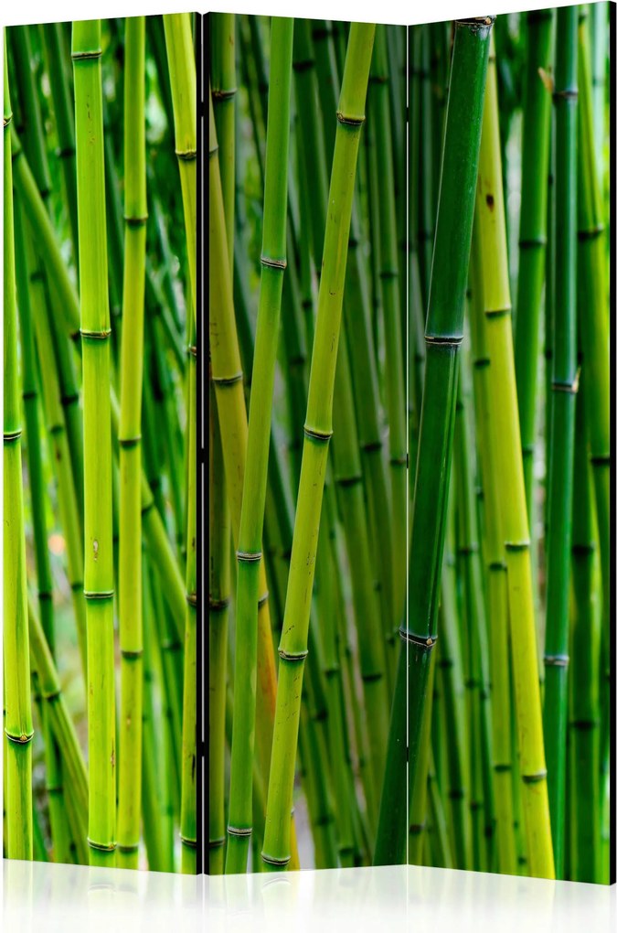 XXXLutz PARAVÁN, 135/172/3 cm artgeist - Paravány - 004875073201