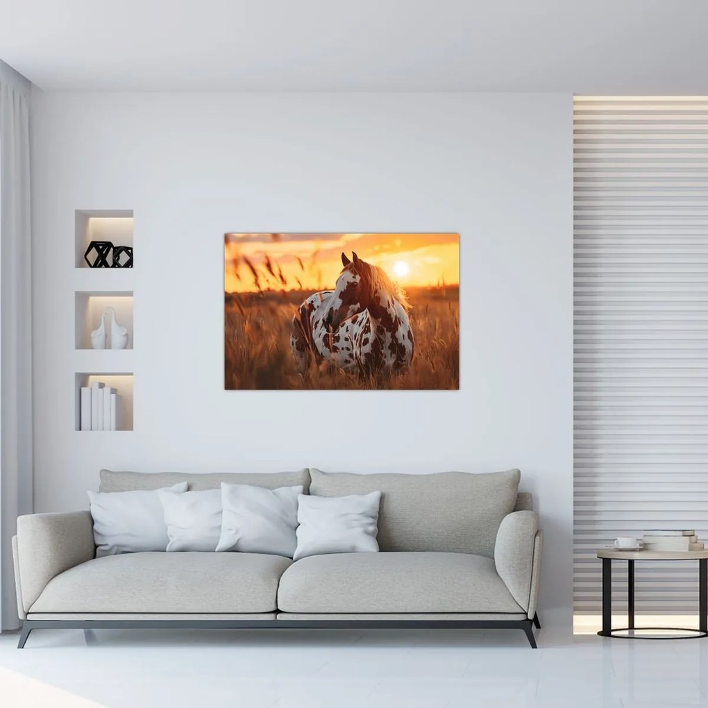 Obraz - Kôň pri západe slnka (90x60 cm)