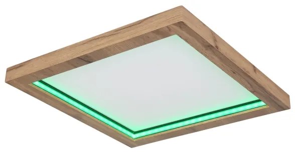 Globo 41374-24 - LED RGBW Stmievateľné stropné svietidlo BRANZA LED/24W/230V + DO