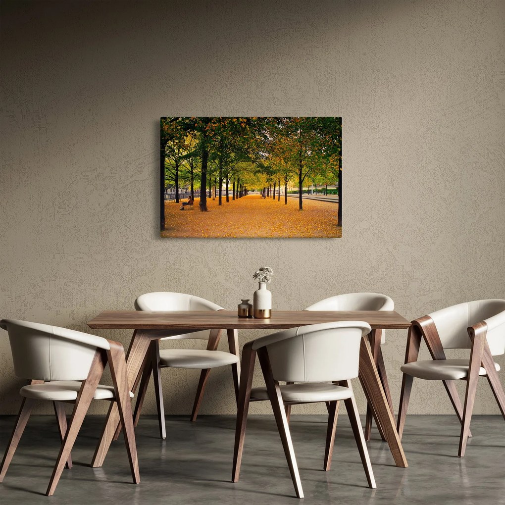 Obraz aleje jesenných stromov (90x60 cm)