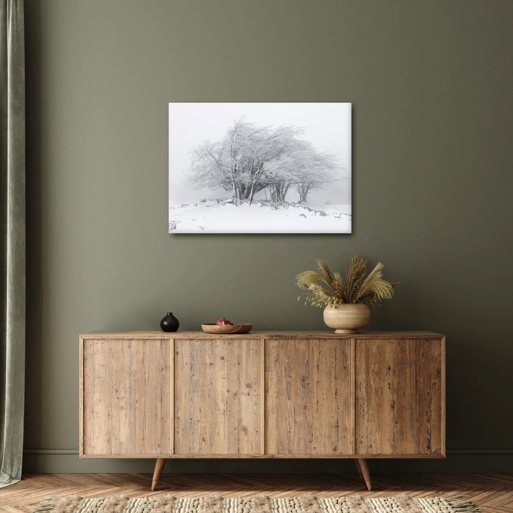 Obraz - Biela zima (70x50 cm)