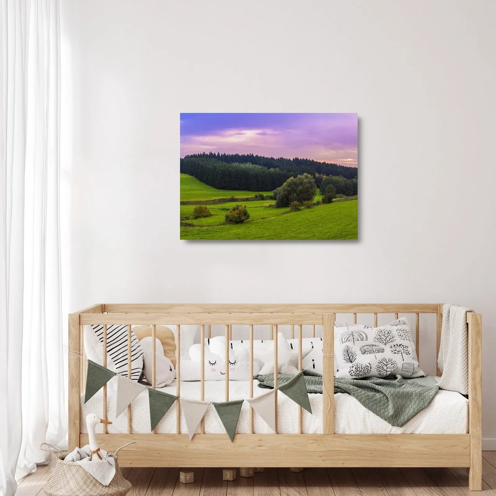 Sklenený obraz lúky (70x50 cm)