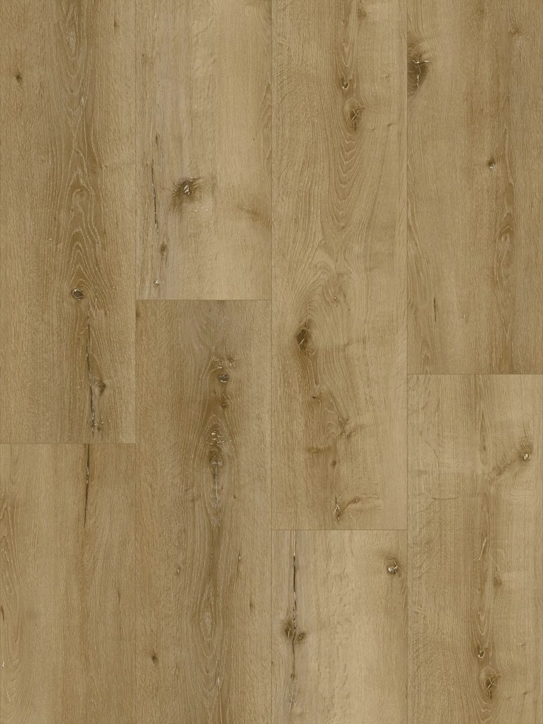 Vinylová podlaha lepená Tajima Classic Ambiente XL 8017, 1219,2 x 228,6 mm, Tajima