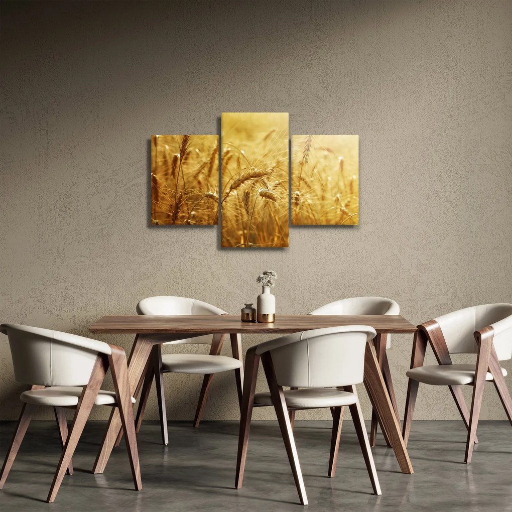Obraz - Klasy obilia (90x60 cm)