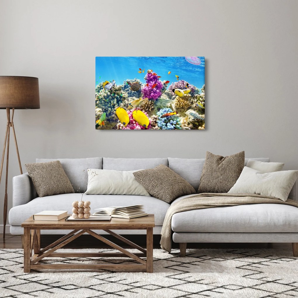 Obraz - Morský svet (90x60 cm)