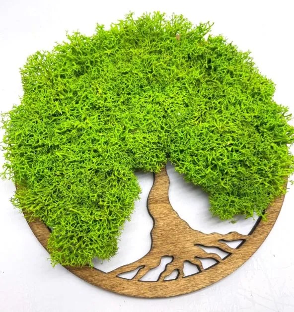 Strom na stenu z machu Aine 20 cm